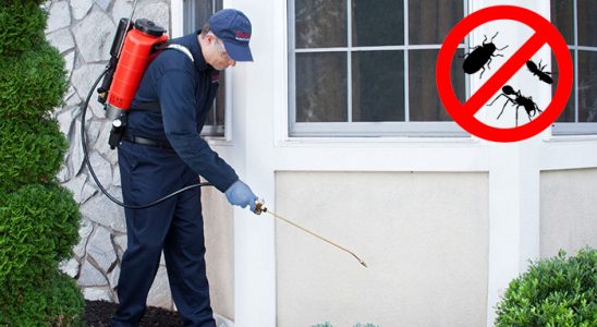 Doğanlar Dezenfeksiyon böcek ilaçlama ve haşere kontrolü — ilaclama-tr.com